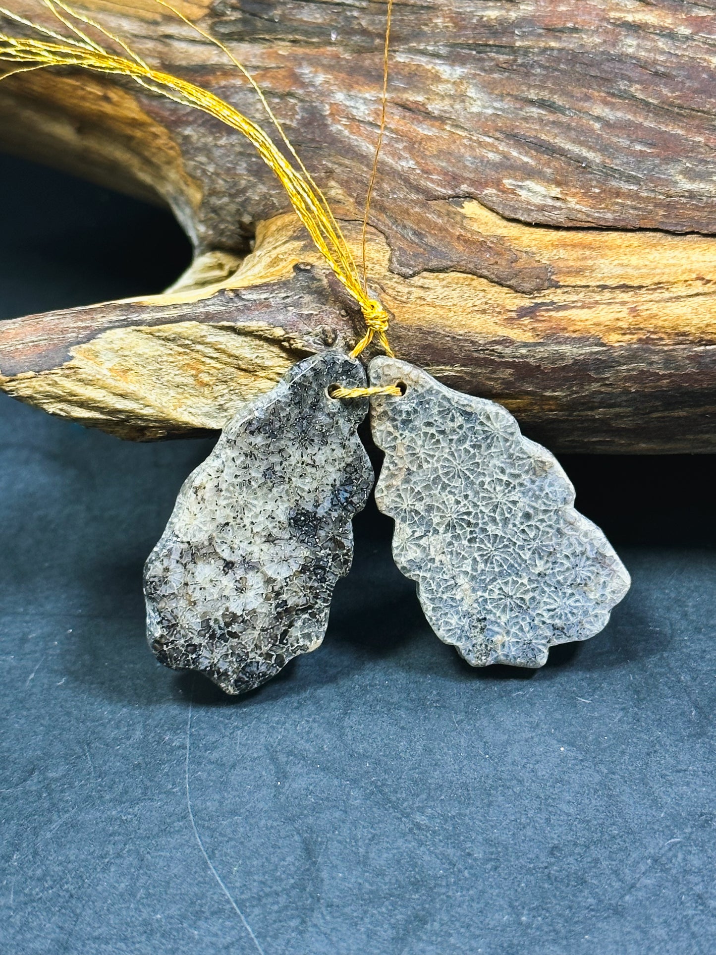 Natural Black Fossil Coral Gemstone Earrings, 34x18mm Freeform Shape