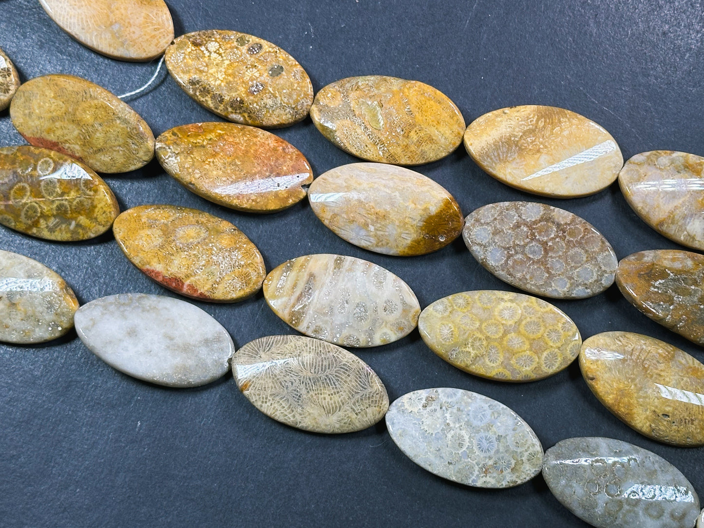 Natural Fossil Coral Gemstone Bead 35x20mm Curved Oval Shape, Beautiful Natural Beige Orange Color Fossil Coral Beads, Full Strand 15.5"