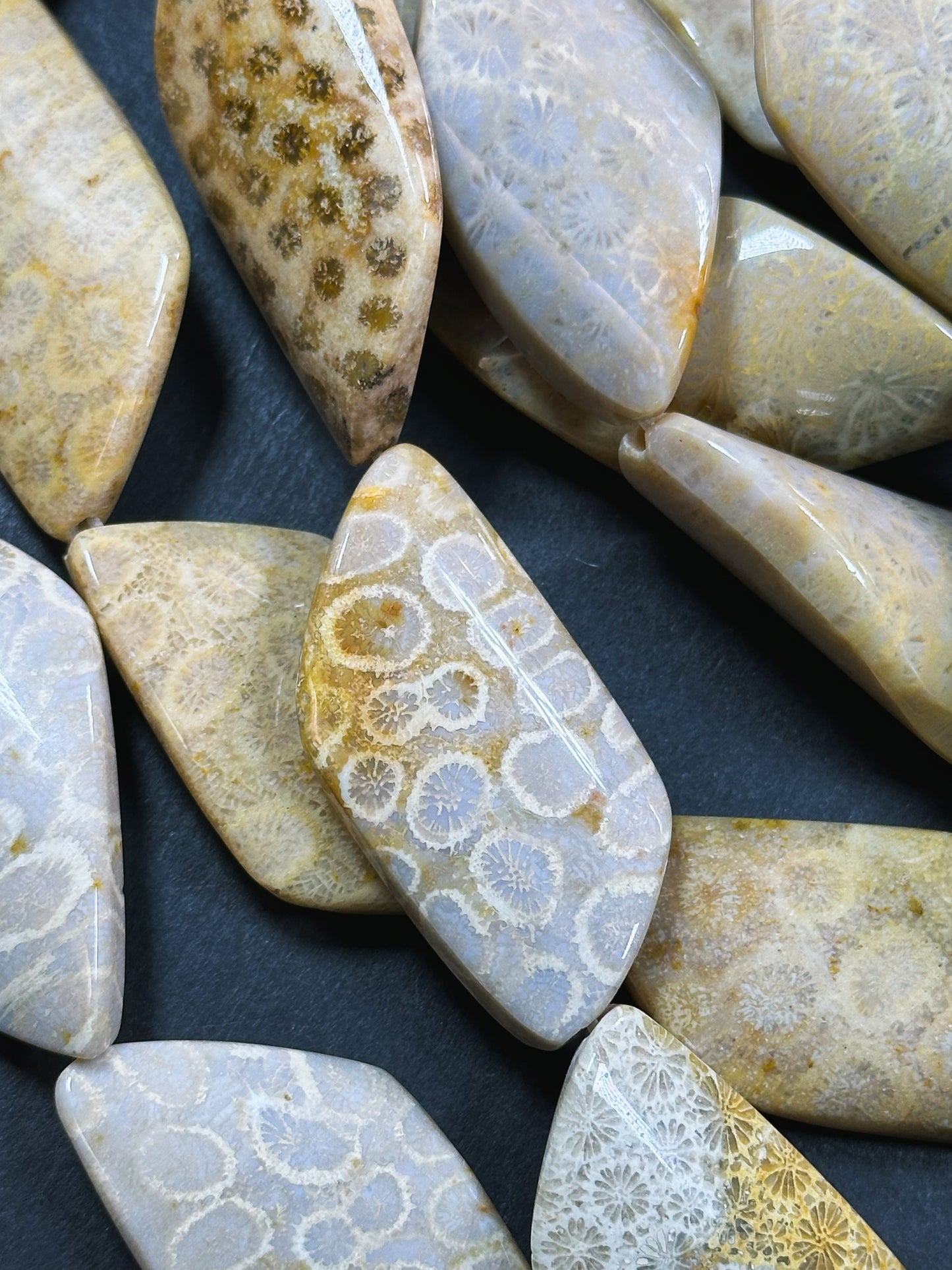 Natural Fossil Coral Gemstone Bead 43x24mm Curved Diamond Shape, Beautiful Natural Beige Orange Color Fossil Coral Beads, Full Strand 15.5"