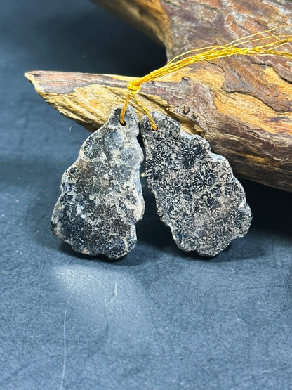 Natural Black Fossil Coral Gemstone Earrings, 34x18mm Freeform Shape