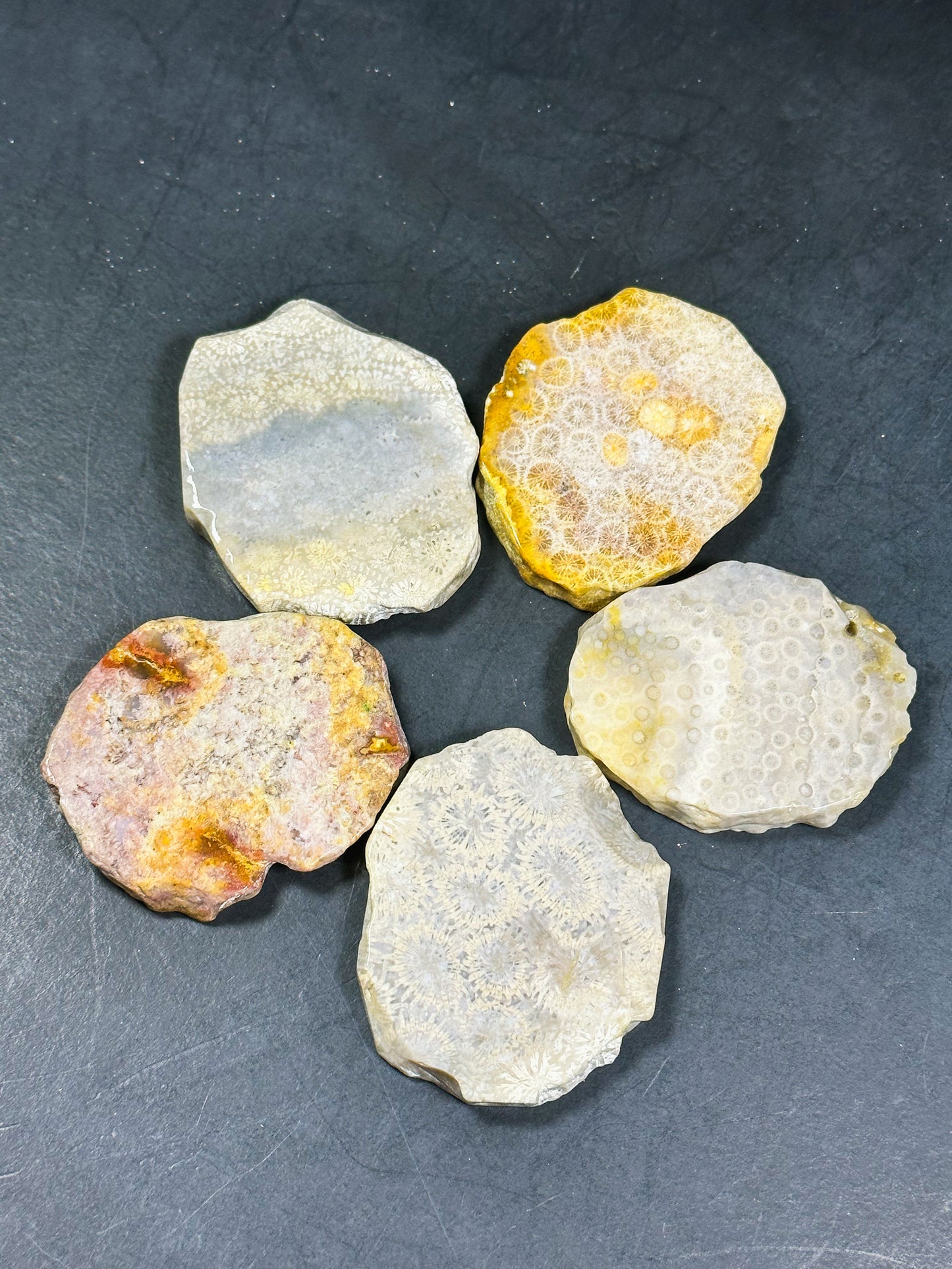 NATURAL Fossil Coral Gemstone Bead, 55x47mm Freeform Shape Bead Beautiful Natural Beige Yellow Gray Color Fossil Coral Beads, LOOSE Beads