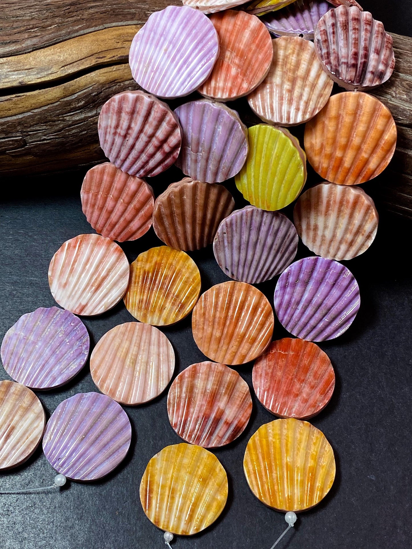 Natural Spiny Oyster Shell Bead Ribbed Coin Shape 20mm 25mm 30mm Gorgeous Colorful Beads Loose Bead Loose Oyster Shell Half Strand 7.5"