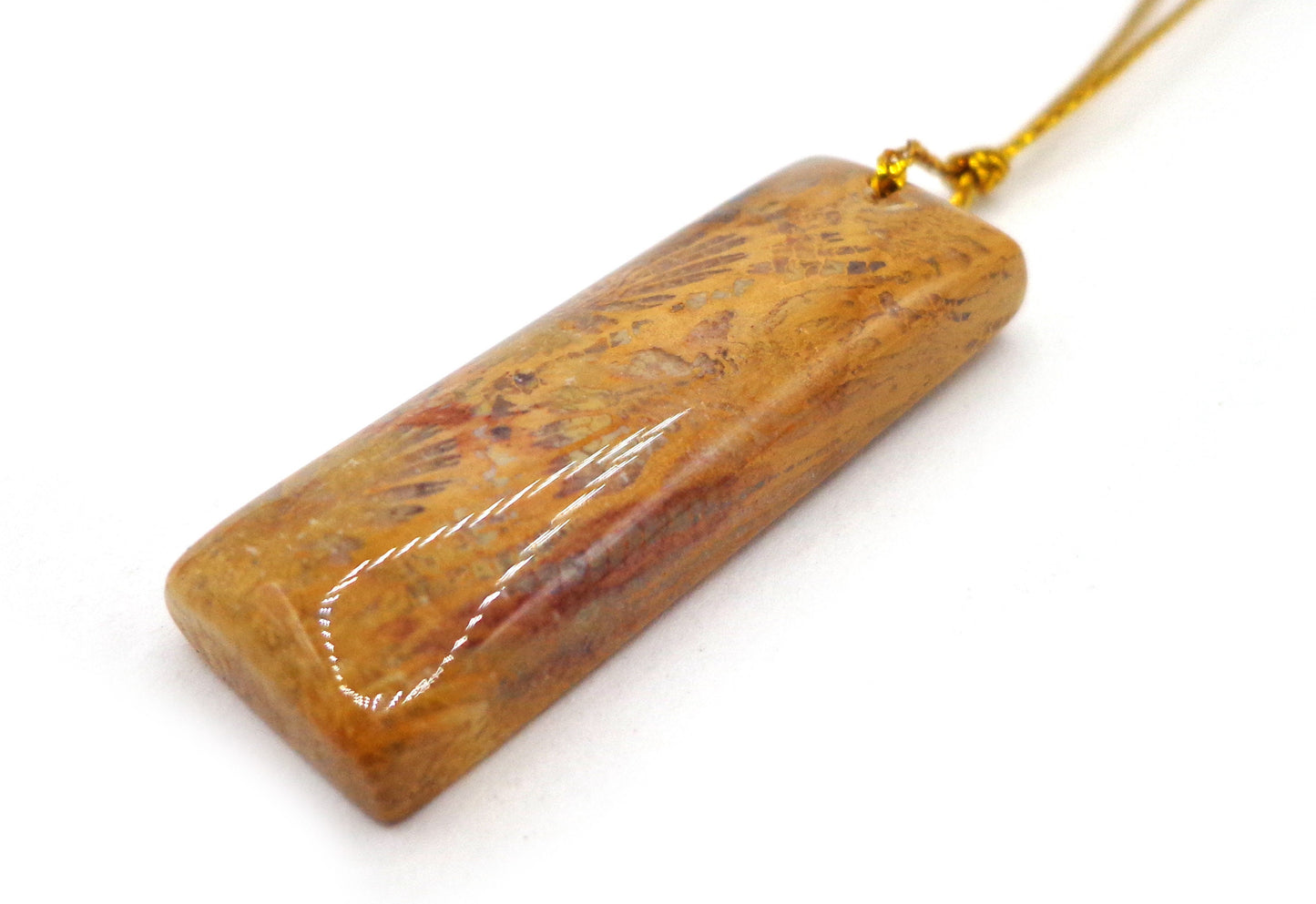 NATURAL Fossilized Coral, Rectangular and Teardrop Pendants, Great for JEWELRY making! Not treated in anyway!