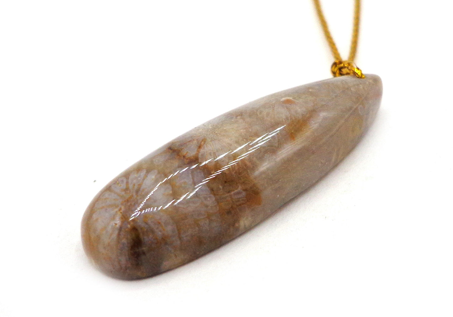 NATURAL Fossilized Coral, Rectangular and Teardrop Pendants, Great for JEWELRY making! Not treated in anyway!