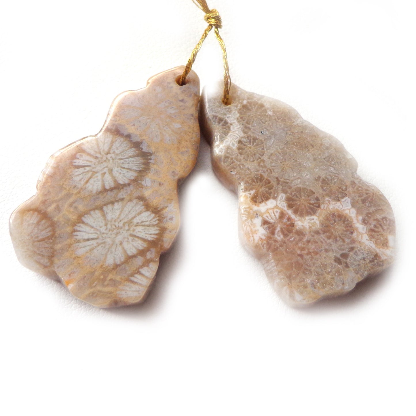 AAA Natural Gemstone Fossil Coral Agate Pendant, 34x18mm Grey, Free Form shape, Great for JEWELRY making! Not Treated in anyway!