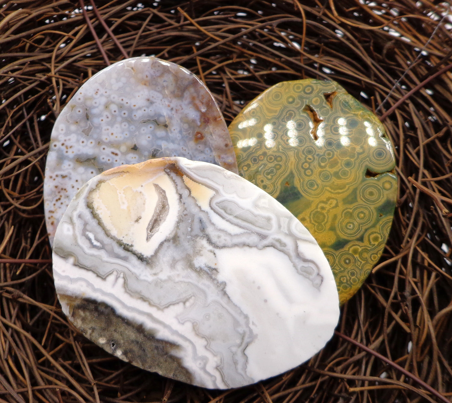 NATURAL Gemstone Ocean Jasper 53x48mm Smooth Oval Shape Pendant Great for JEWELRY making! Not treated in anyway!