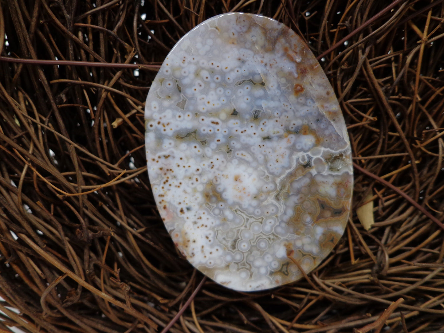 NATURAL Gemstone Ocean Jasper 53x48mm Smooth Oval Shape Pendant Great for JEWELRY making! Not treated in anyway!