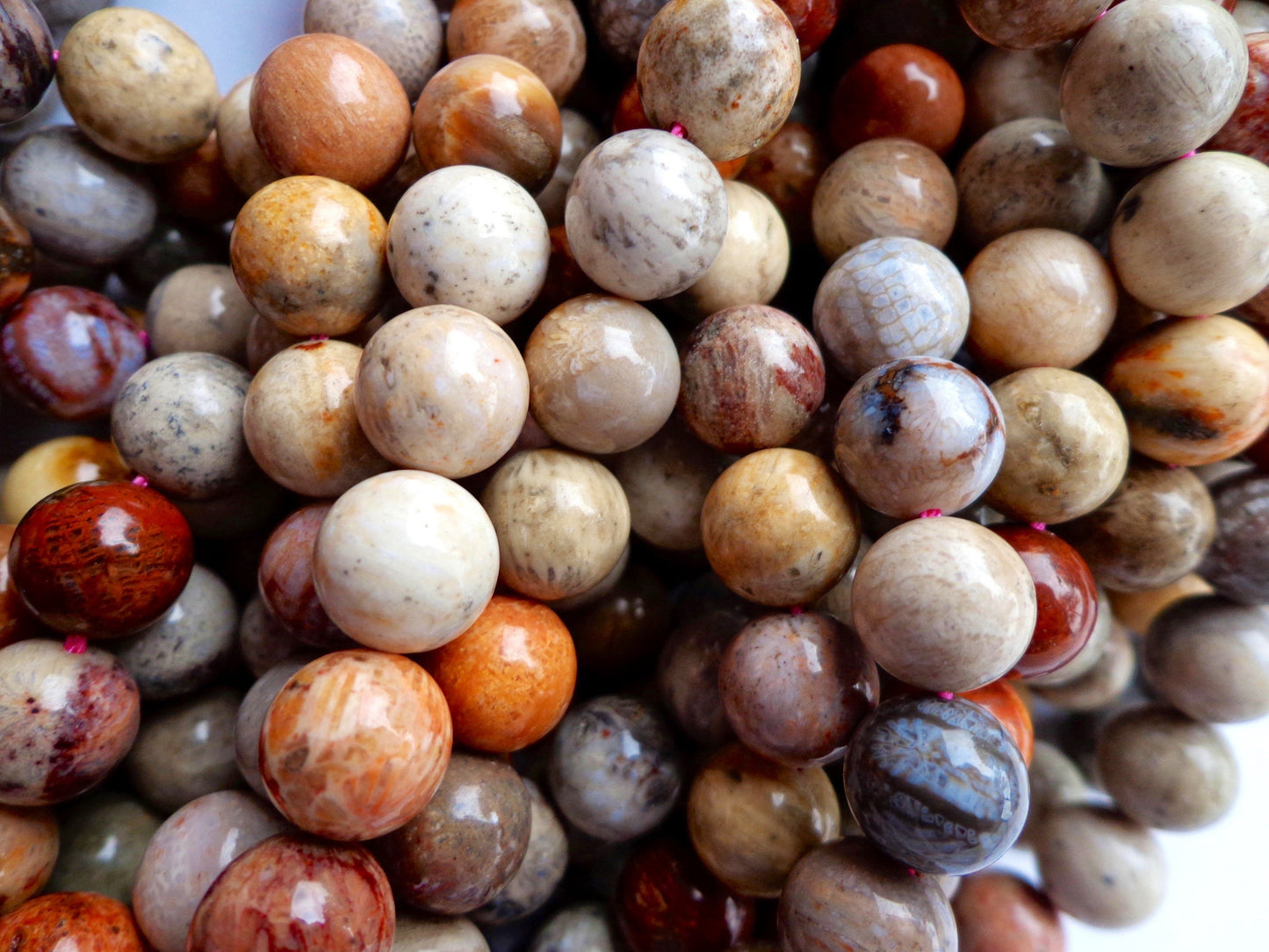 AAA Natural Fossilized Coral Agate Gemstone Beads 6mm,8mm,10mm beads, Round Shape, Gray Beads, Great Quality Beads, Full length 15.5 inches