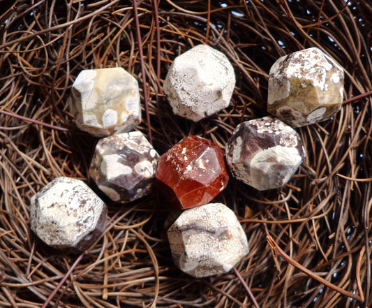 Natural Gemstone Brown-White Mushroom Jasper bead, Nugget Shaped, Approximately 18mm, Sizes may vary, Great Quality Bead!