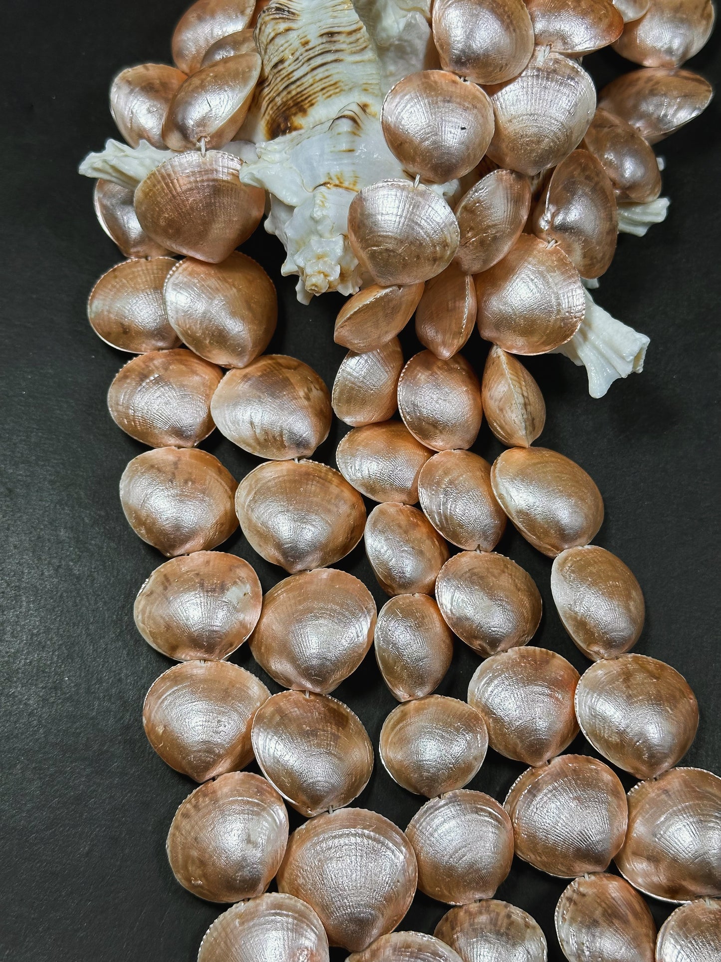 Natural Sea Shell Beads, Natural 23x20mm Sea Shell Shape Beads, Gorgeous Peach Orange Color Sea Shell Beads, 15.5" Strand