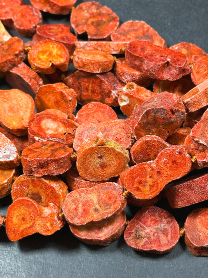 100% Natural Spanish Sponge Coral Gemstone Freeform Oval Shape Beads, Gorgeous Natural Orange Red Color Sponge Coral Gemstone Bead 15.5"