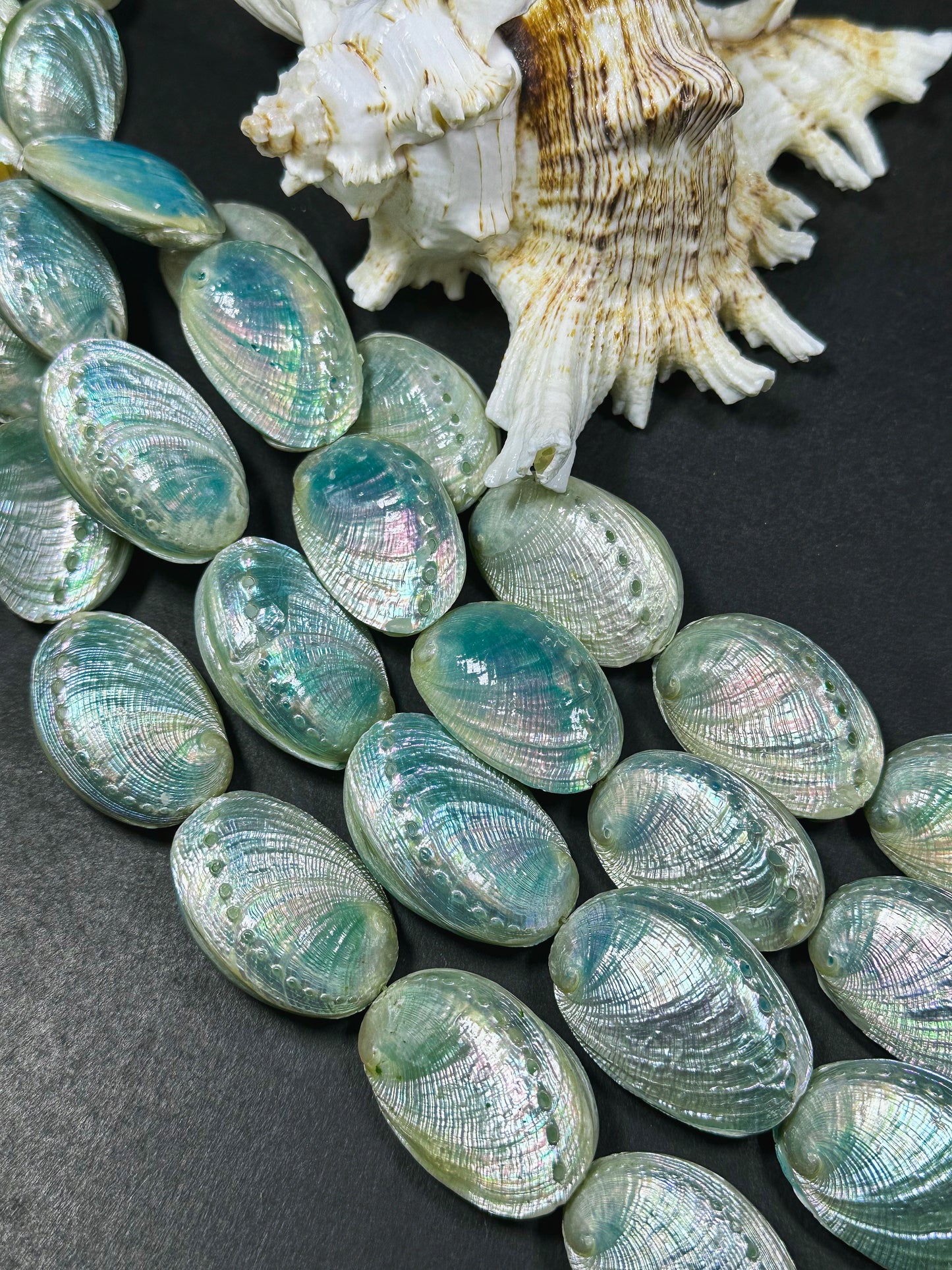 Natural Sea Shell Beads, Natural 38x26mm Sea Shell Shape Beads, Gorgeous Aqua Blue Color Sea Shell Beads, 9" Strand