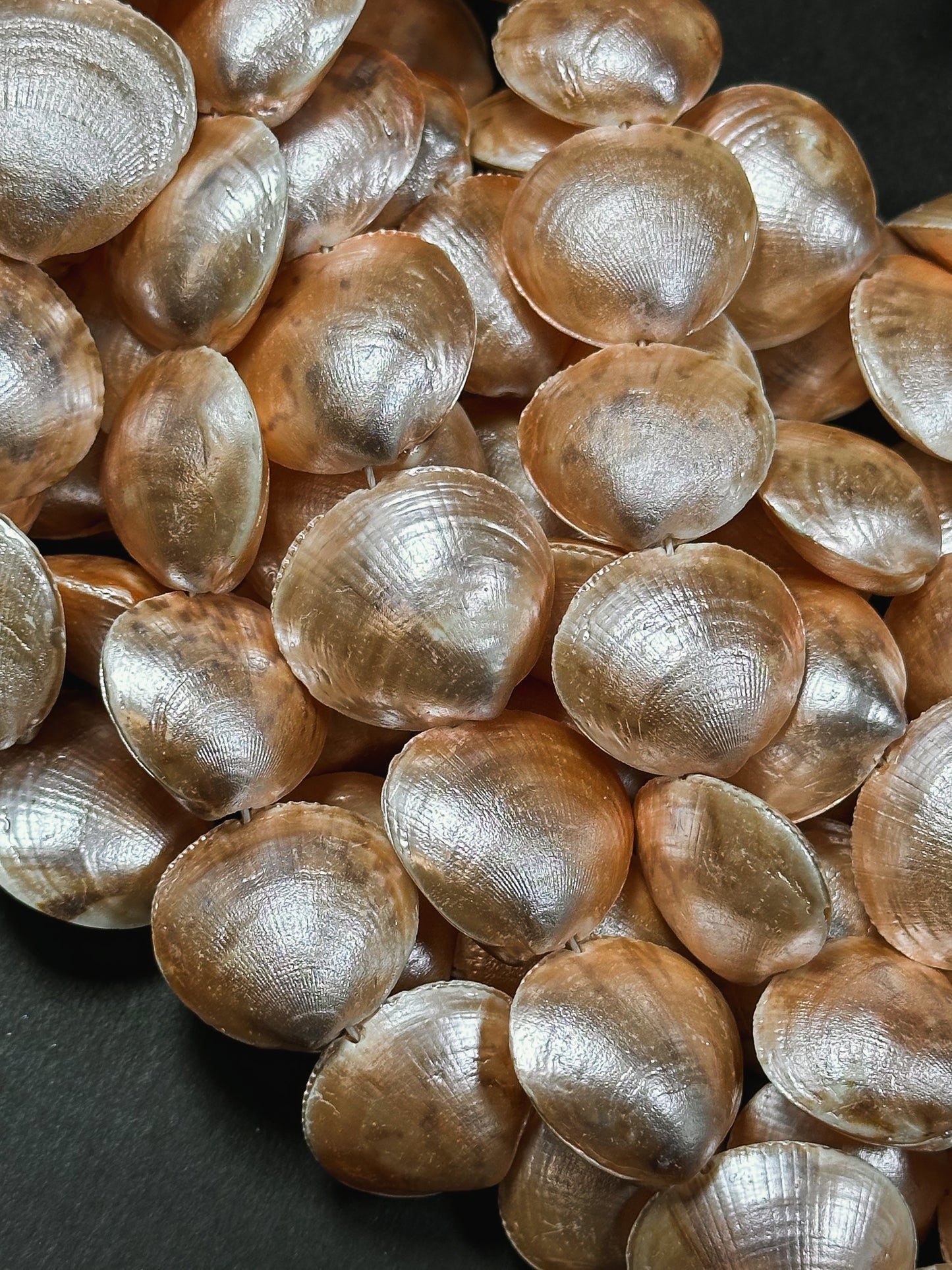 Natural Sea Shell Beads, Natural 23x20mm Sea Shell Shape Beads, Gorgeous Peach Orange Color Sea Shell Beads, 15.5" Strand