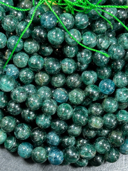 AAA Green Apatite Gemstone Bead 6mm 8mm 10mm Round Beads, Beautiful Green Color Apatite Gemstone Bead Full Strand 15.5", Great Quality Apatite Beads