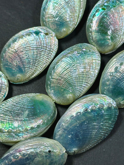 Natural Sea Shell Beads, Natural 38x26mm Sea Shell Shape Beads, Gorgeous Aqua Blue Color Sea Shell Beads, 9" Strand