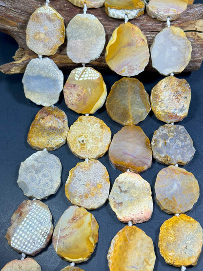 NATURAL Fossil Coral Gemstone Bead, 55x47mm Freeform Shape Bead Beautiful Natural Beige Yellow Gray Color Loose Beads Full Strand 15.5"