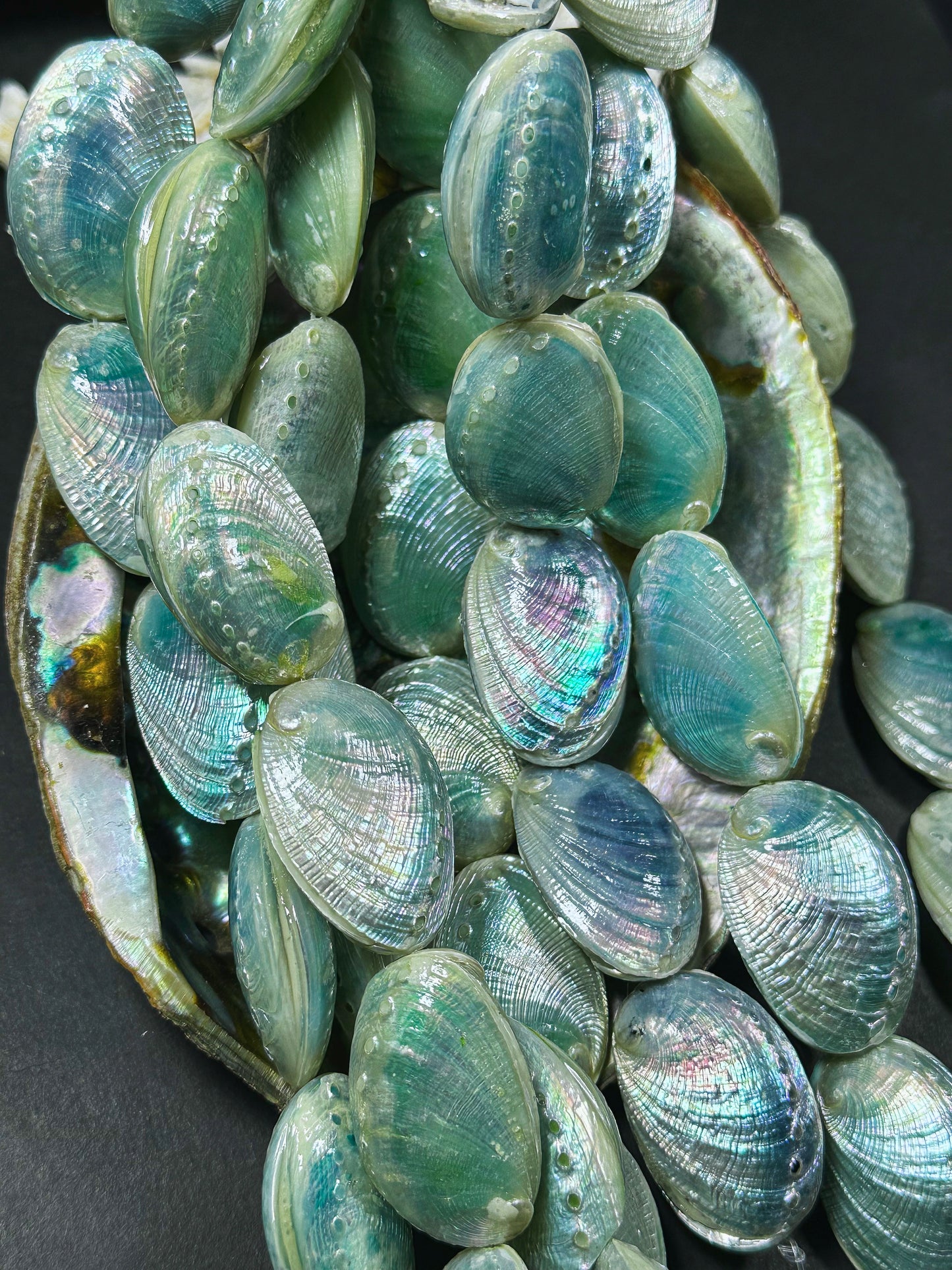 Natural Sea Shell Beads, Natural 38x26mm Sea Shell Shape Beads, Gorgeous Aqua Blue Color Sea Shell Beads, 9" Strand