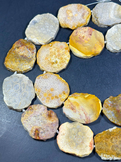 NATURAL Fossil Coral Gemstone Bead, 55x47mm Freeform Shape Bead Beautiful Natural Beige Yellow Gray Color Loose Beads Full Strand 15.5"