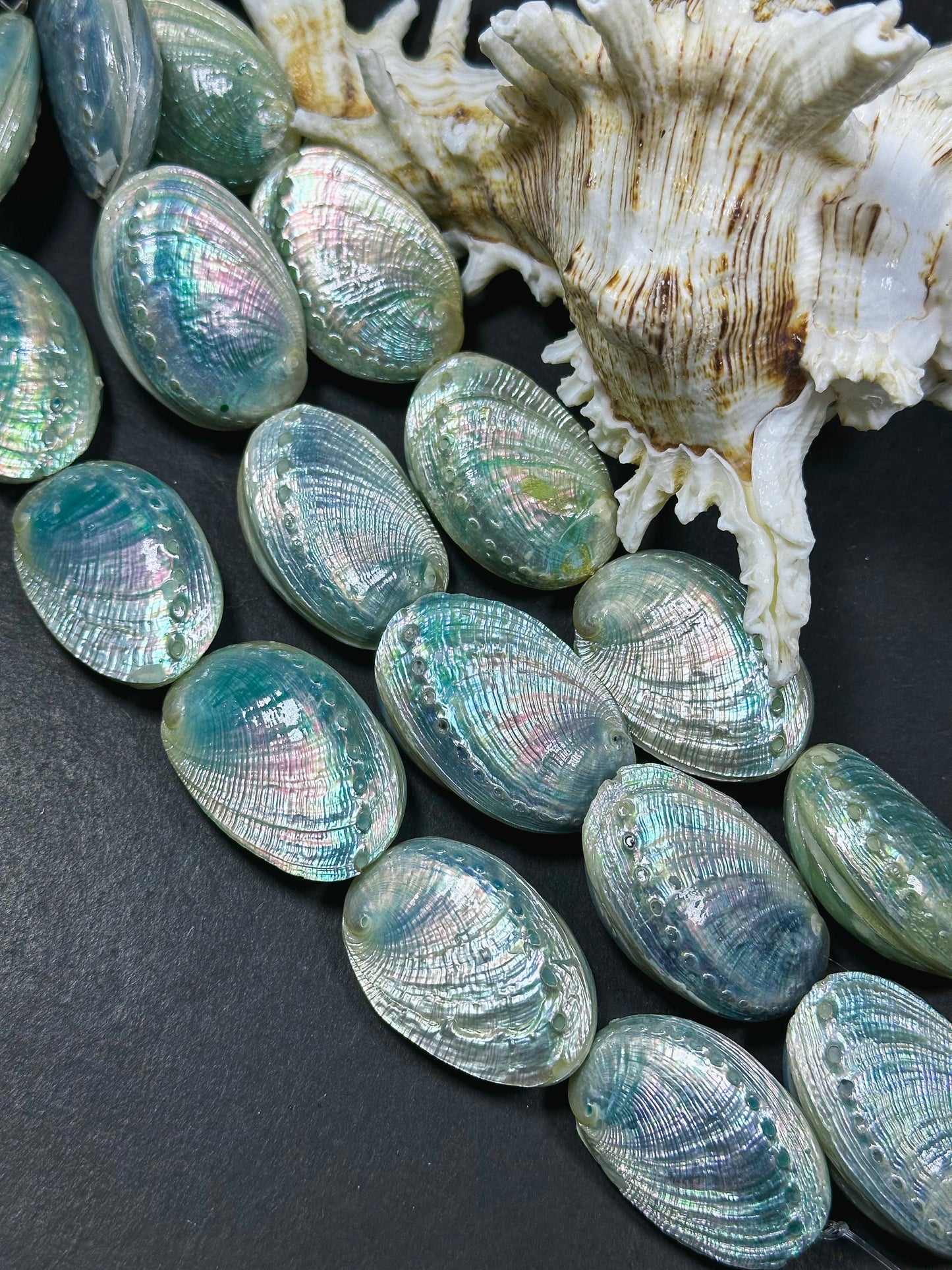 Natural Sea Shell Beads, Natural 38x26mm Sea Shell Shape Beads, Gorgeous Aqua Blue Color Sea Shell Beads, 9" Strand