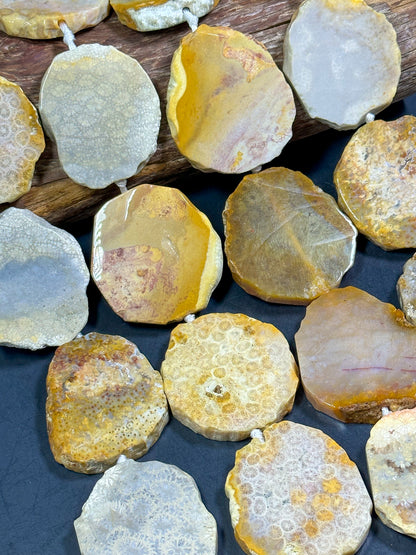 NATURAL Fossil Coral Gemstone Bead, 55x47mm Freeform Shape Bead Beautiful Natural Beige Yellow Gray Color Loose Beads Full Strand 15.5"