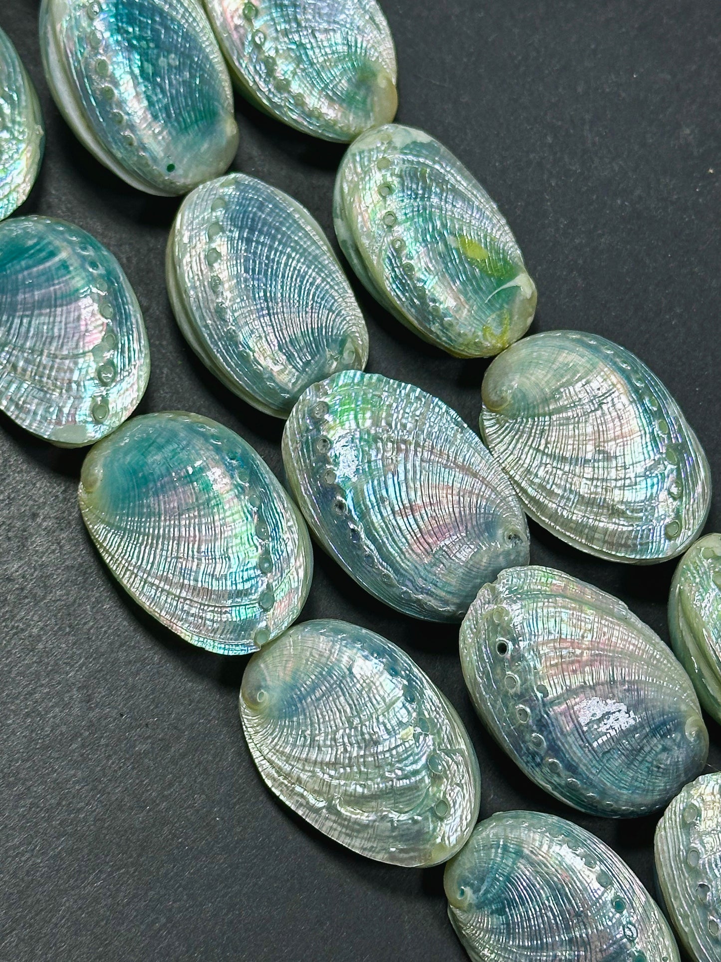 Natural Sea Shell Beads, Natural 38x26mm Sea Shell Shape Beads, Gorgeous Aqua Blue Color Sea Shell Beads, 9" Strand