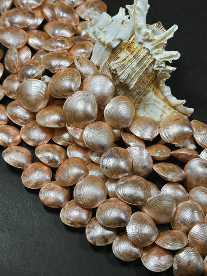 Natural Sea Shell Beads, Natural 23x20mm Sea Shell Shape Beads, Gorgeous Peach Orange Color Sea Shell Beads, 15.5" Strand