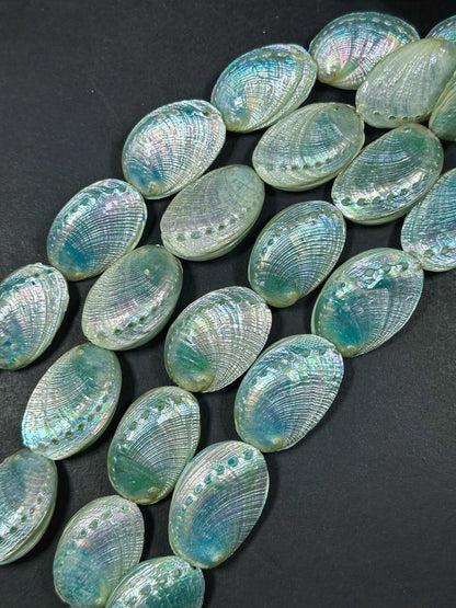 Natural Sea Shell Beads, Natural 38x26mm Sea Shell Shape Beads, Gorgeous Aqua Blue Color Sea Shell Beads, 9" Strand