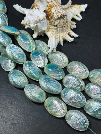 Natural Sea Shell Beads, Natural 38x26mm Sea Shell Shape Beads, Gorgeous Aqua Blue Color Sea Shell Beads, 9" Strand