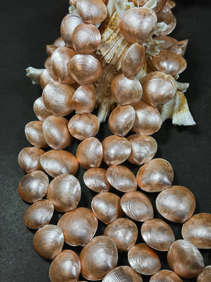 Natural Sea Shell Beads, Natural 23x20mm Sea Shell Shape Beads, Gorgeous Peach Orange Color Sea Shell Beads, 15.5" Strand