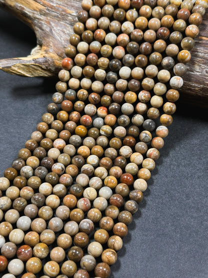 Natural Petrified Wood Jasper Gemstone 4mm 6mm 8mm Round Beads, Beautiful Natural Multicolor Brown Petrified Wood Jasper Stone Beads 15.5"