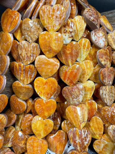 AAA Natural Spiny Oyster Heart Shape Shell Beads. Gorgeous Natural Orange Yellow Spiny Oyster Shell Bead.