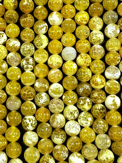 Yellow Dragon Vein Agate Smooth Round Shape Bead 6mm, 8mm, 10mm, Beautiful Yellow Color Great Quality 15.5"