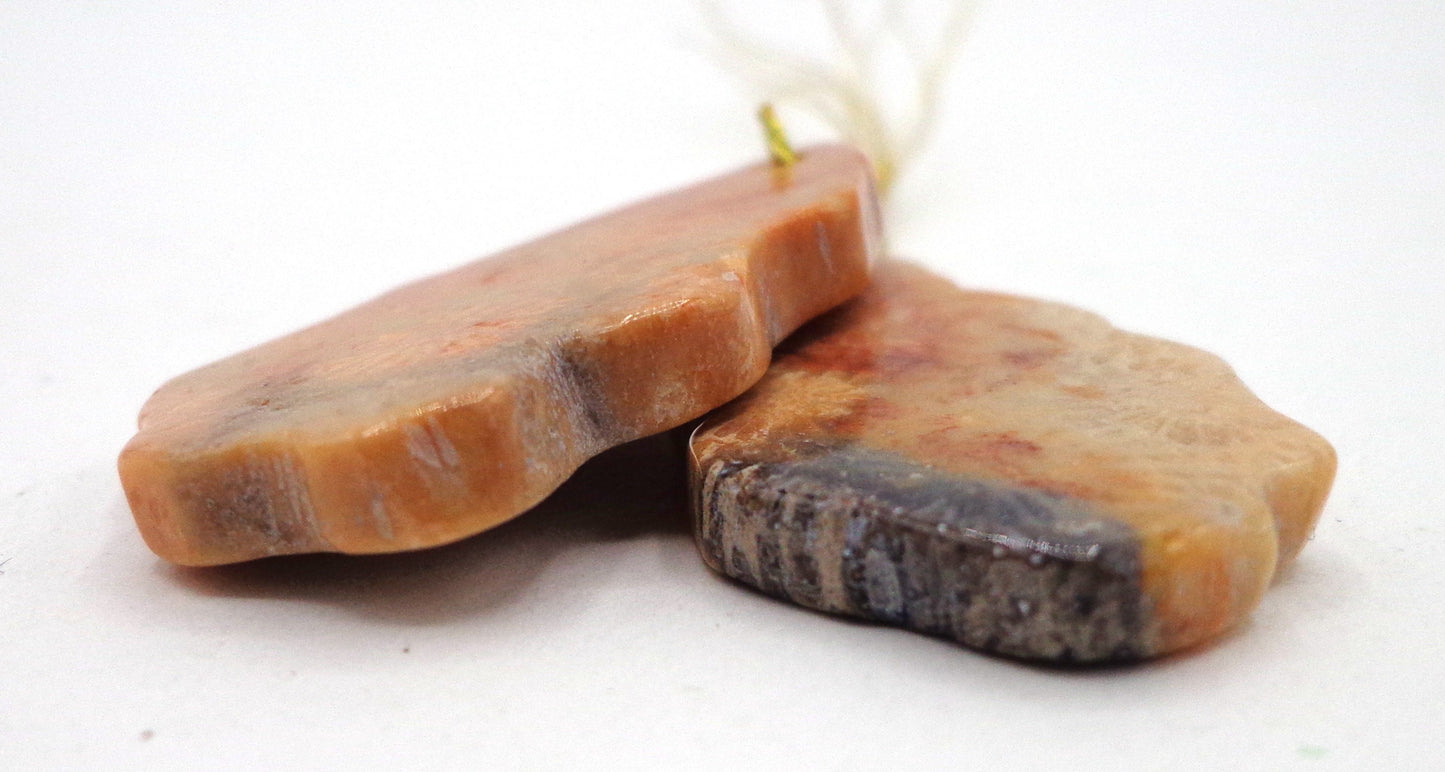 NATURAL Gemstone Fossilized Coral, 34x18mm Free Form 2 per Pendant, Great for JEWELRY making! Not treated in anyway! AAA Quality!