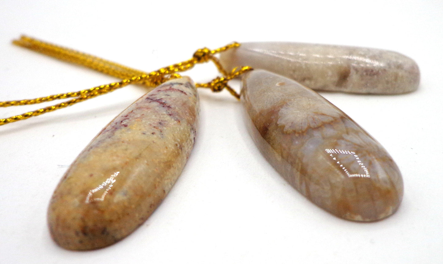 NATURAL Fossilized Coral, Rectangular and Teardrop Pendants, Great for JEWELRY making! Not treated in anyway!