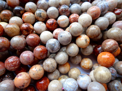 AAA Natural Fossilized Coral Agate Gemstone Beads 6mm,8mm,10mm beads, Round Shape, Gray Beads, Great Quality Beads, Full length 15.5 inches