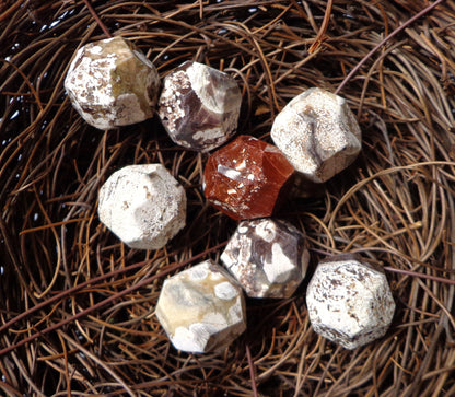 Natural Gemstone Brown-White Mushroom Jasper bead, Nugget Shaped, Approximately 18mm, Sizes may vary, Great Quality Bead!