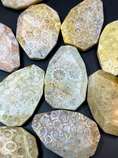 AAA Natural Fossil Coral Gemstone Bead Faceted 28x40mm Oval/Teardrop Shape, Beautiful Beige Color Fossil Coral LOOSE BEADS