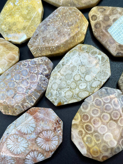 AAA Natural Fossil Coral Gemstone Bead Faceted 28x40mm Oval/Teardrop Shape, Beautiful Beige Color Fossil Coral LOOSE BEADS