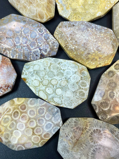 AAA Natural Fossil Coral Gemstone Bead Faceted 28x40mm Oval/Teardrop Shape, Beautiful Beige Color Fossil Coral LOOSE BEADS