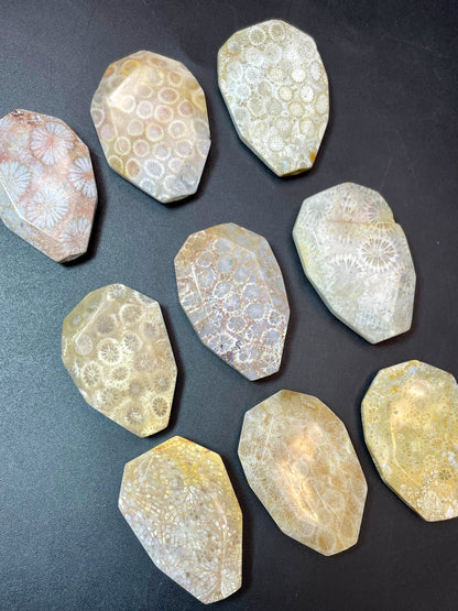 AAA Natural Fossil Coral Gemstone Bead Faceted 28x40mm Oval/Teardrop Shape, Beautiful Beige Color Fossil Coral LOOSE BEADS